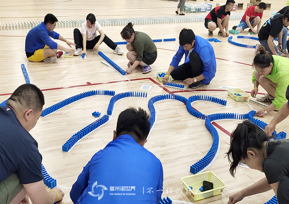 拜耳多米諾團隊大挑戰(zhàn)