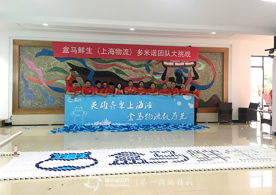 盒馬鮮生（上海物流）多米諾團(tuán)隊(duì)大挑戰(zhàn)