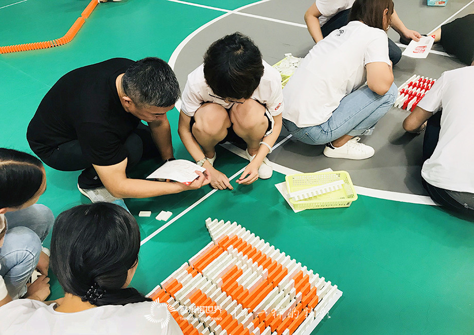 科捷新手訓(xùn)練營-在多米諾世界成為更好的自己