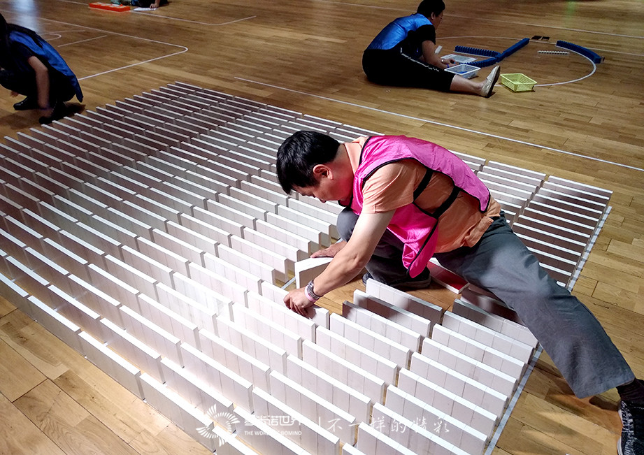 多米諾團隊大挑戰(zhàn)，同慶廣發(fā)銀行三十周年