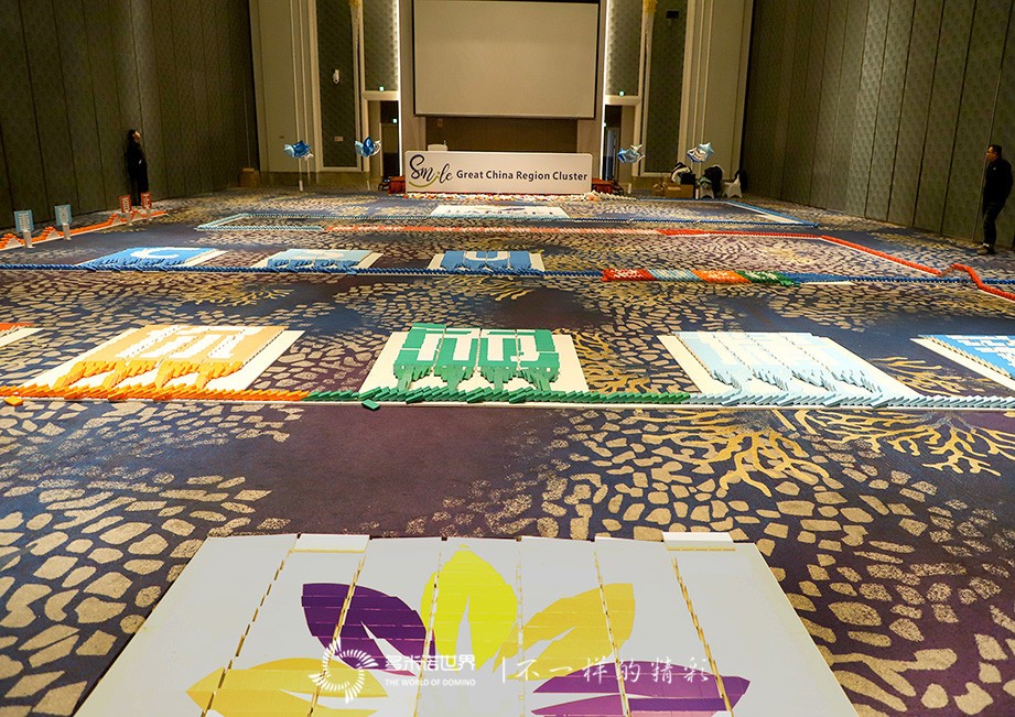 賽諾菲多米諾賀年會