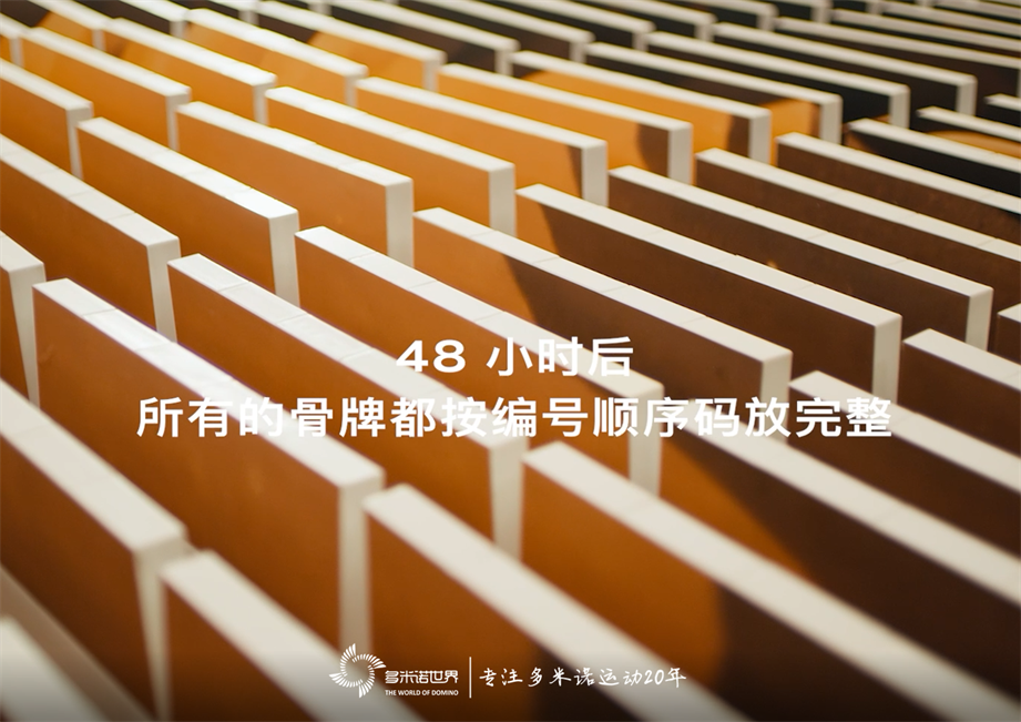 “沙漠多米諾”致敬RS Q e-tron與奧迪車隊