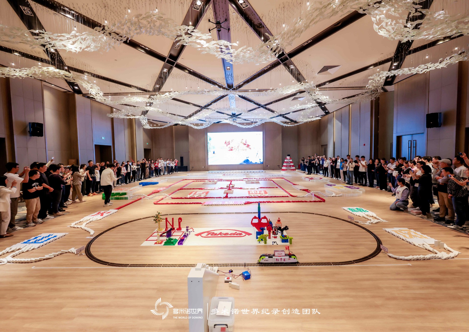 武田制藥多米諾團(tuán)隊(duì)大挑戰(zhàn)