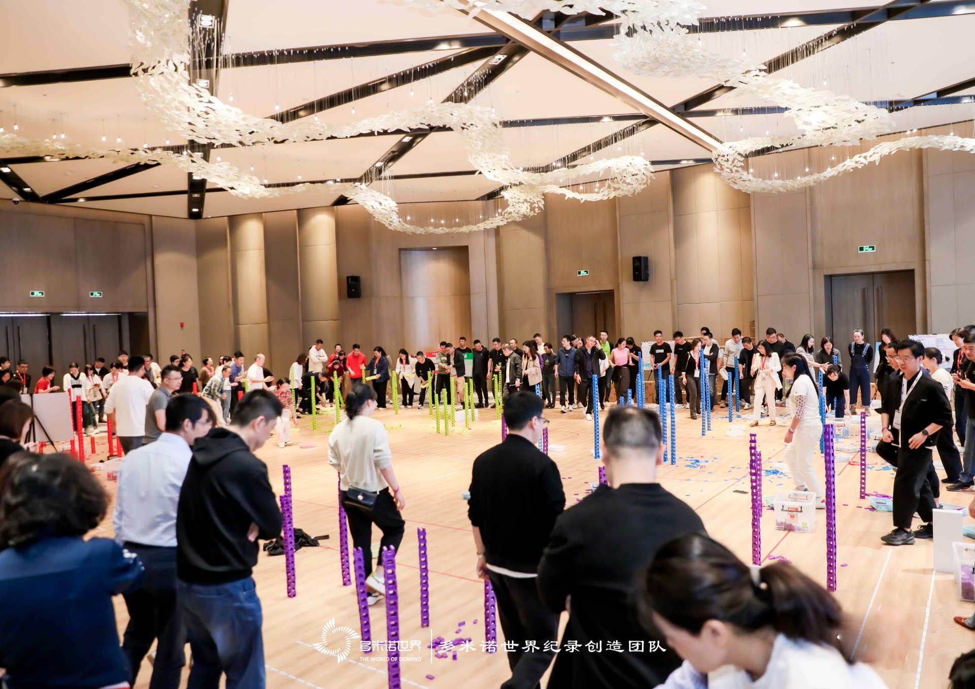 武田制藥多米諾團(tuán)隊(duì)大挑戰(zhàn)